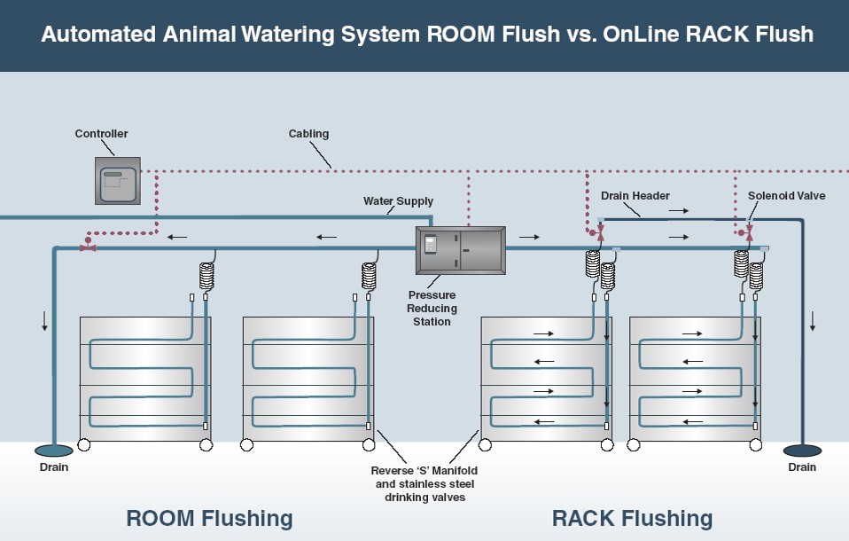 Automatic Room Distribution Watering System for Animals ED